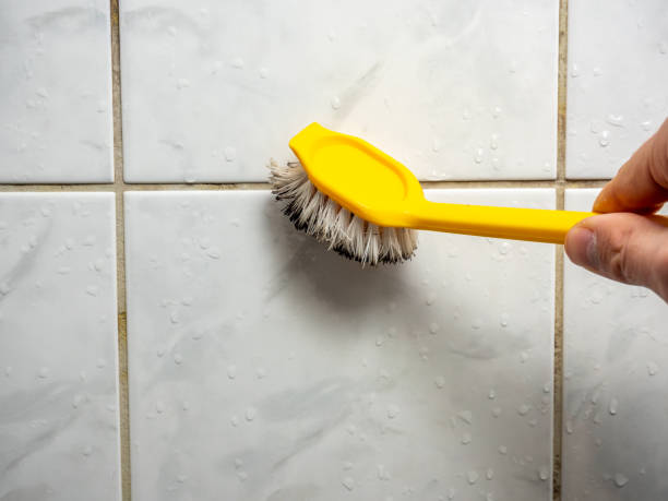 Reliable Milbank, SD Mold Removal Solutions