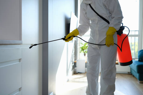 Best Office Mold Removal Services  in Milbank, SD