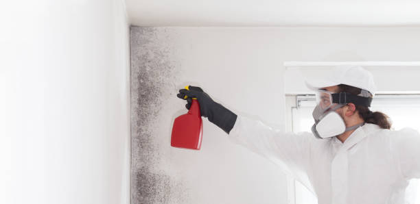 Best Mold Testing  in Milbank, SD